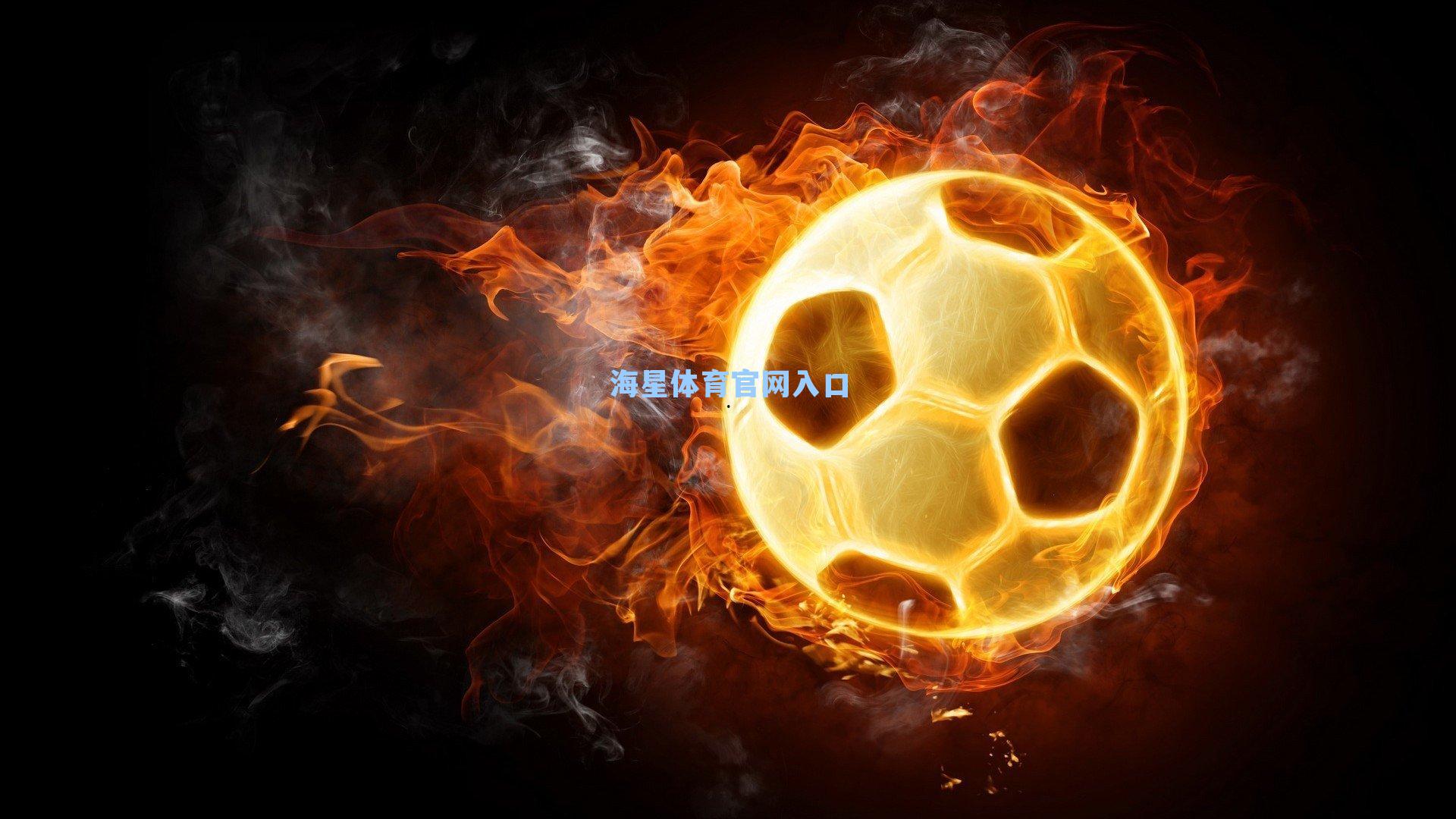 西部联获清盘令暂缓执行 全力争取重返澳超赛场